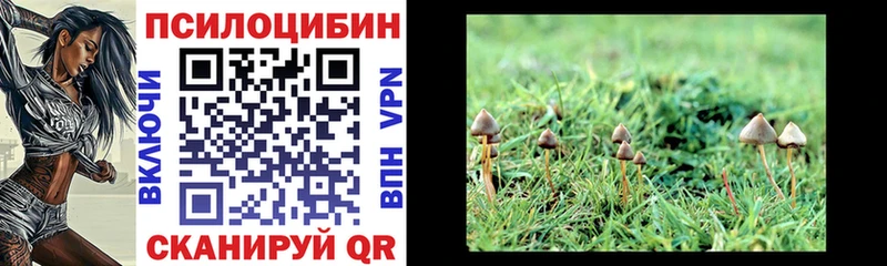 Галлюциногенные грибы мицелий  купить закладку  мега как зайти  Ростов-на-Дону 